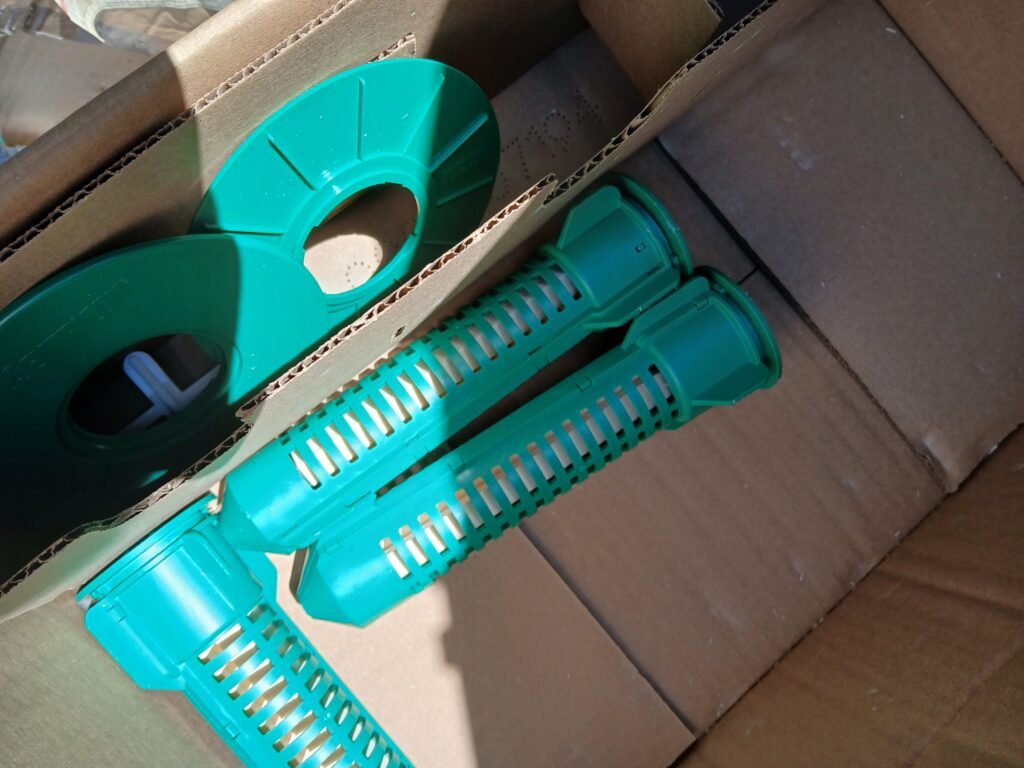 traitement termites en Guadeloupe